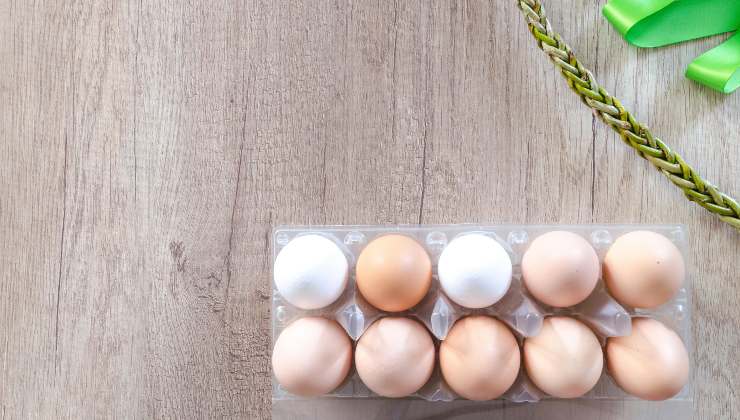 Allarme salmonella per queste uova - giornalepop.it - 20251003