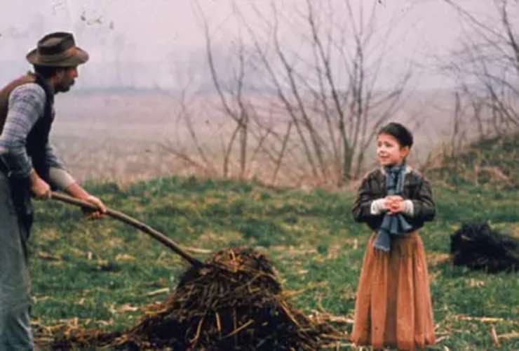 L'albero degli zoccoli - fonte_web - Giornalepop.it