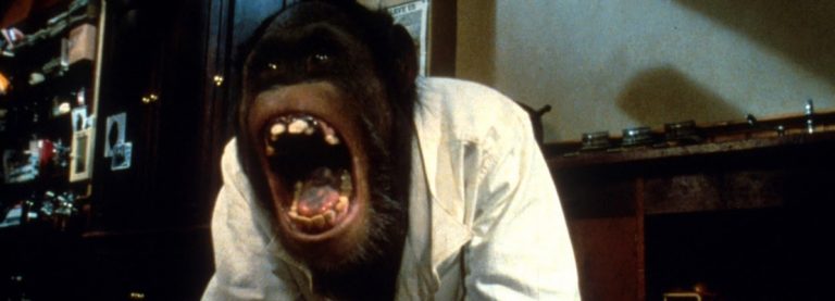 LINK, LA SCIMMIA DI UN HORROR DA RISCOPRIRE