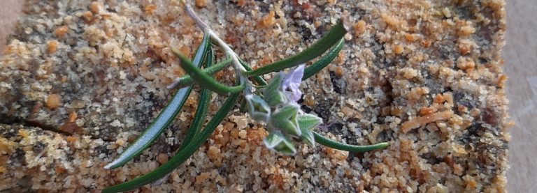 TORTA VERDE PASQUALINA DI NIZZA MONFERRATO