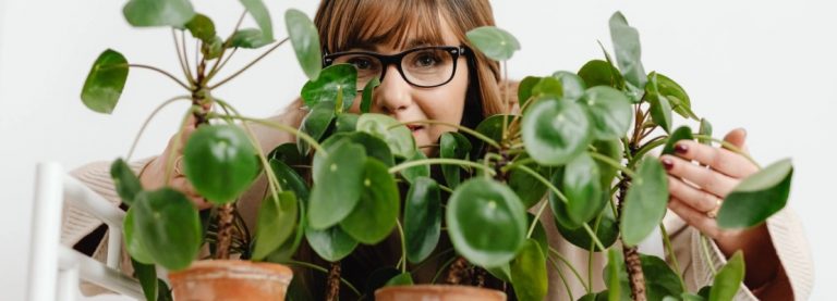 CINQUE HOBBY DA PROVARE