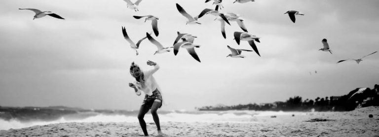 FERMIAMO I GABBIANI CHE CI INVADONO