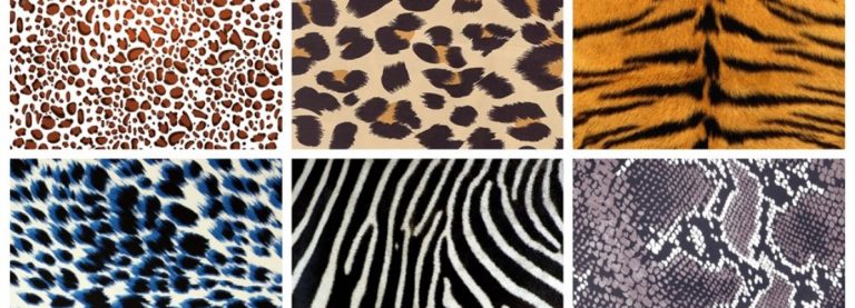 ANIMALIER INSTINCT: LA MODA QUEST’ANNO SI FA PITONATA, MACULATA E ZEBRATA
