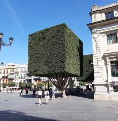 POP – SOPRATTUTTO L’ORDINE
