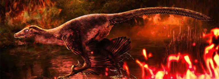 DAURLONG, TROVATO L’INTESTINO DI UN DINOSAURO