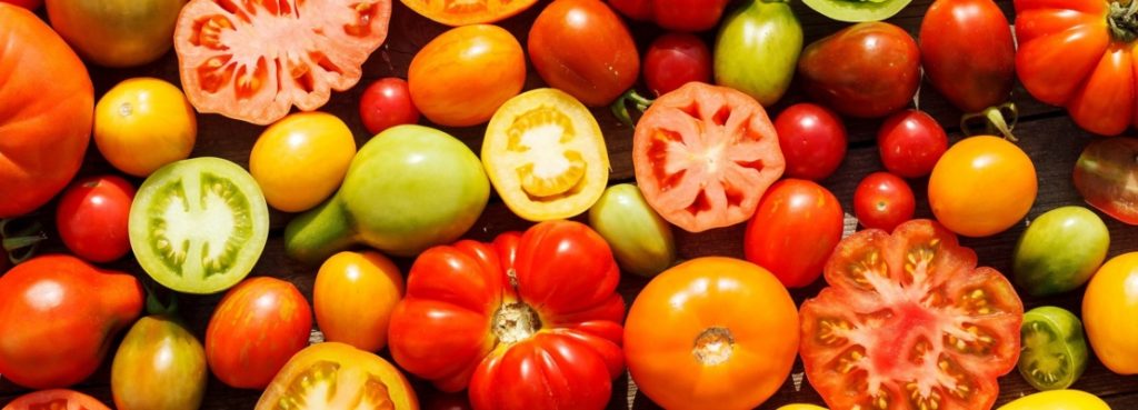 COLTIVARE POMODORI, ANCHE IN BALCONE