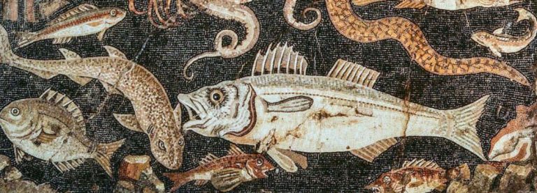 COME PREPARARE IL GARUM, LA SALSA DEI ROMANI