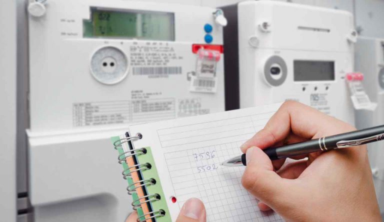 Trova la capra nascosta - Giornalepop.it (Fonte foto Canva)