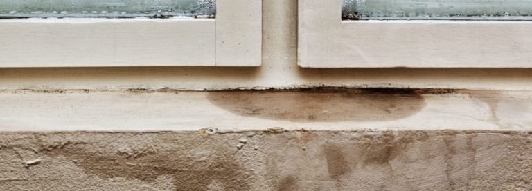 UMIDITÀ IN CASA, COME RISOLVERE I PRINCIPALI PROBLEMI