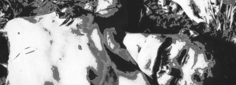 NESSUNO HA UCCISO DALIA NERA