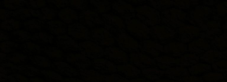 CI HA LASCIATO PIETRO ZERELLA