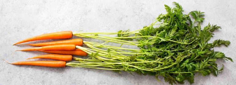LE CAROTE NON SONO SAPORITE COME UNA VOLTA