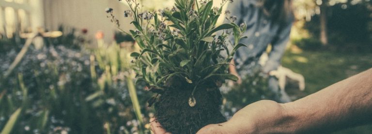 4 ABITUDINI PER UNA VITA ECOLOGICA