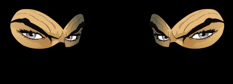 IL DOPPIO IN JACOVITTI, DIABOLIK, TEX E ZAGOR