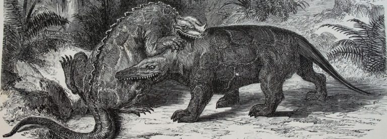 LAMENTARSI DELLE RAPPRESENTAZIONI DEI DINOSAURI