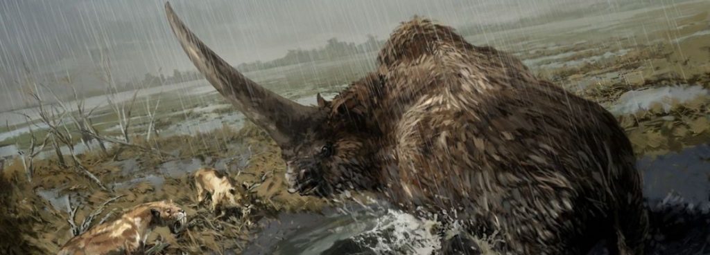 L’UNICORNO È L’ANTICO ELASMOTERIO SIBERIANO?