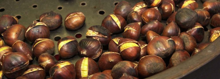 FERMIAMO L’EPIDEMIA DELLE CASTAGNE