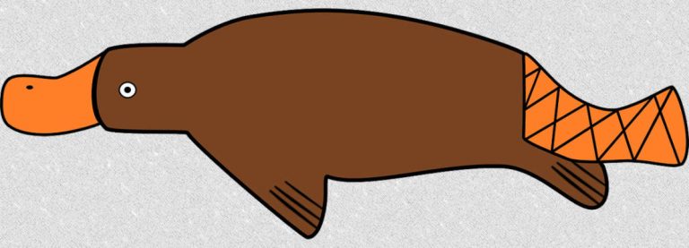 L’ORNITORINCO CI SALVERÀ DAI BATTERI