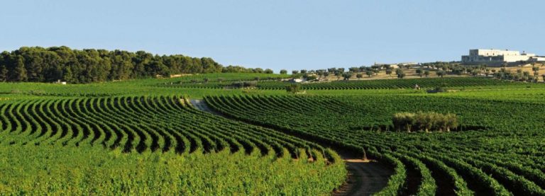 LE MASSERIE PUGLIESI TRA NATURA E COLTURA