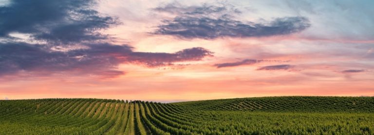 CONDANNA MITE PER GUIDA IN STATO DI EBBREZZA