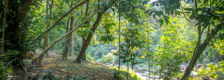 LUIGI CHIATTI, IL “MOSTRO DI FOLIGNO”