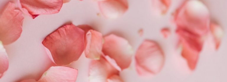 PROFUMO DI NICCHIA, UN’OPERA D’ARTE OLFATTIVA