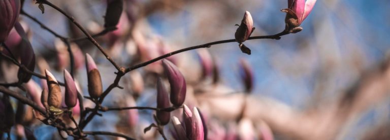 JENNIFER ZACCONI, SEPOLTA VIVA CON IL FIGLIO