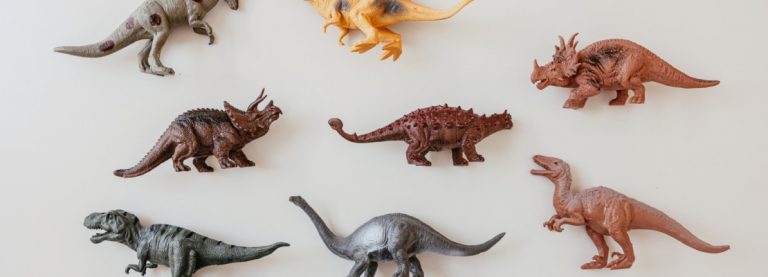 ESPERIMENTI DI PALEOARTE