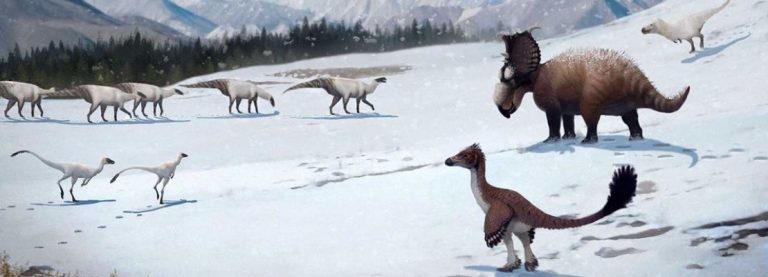I DINOSAURI PIUMATI CHE VIVEVANO IN MONTAGNA