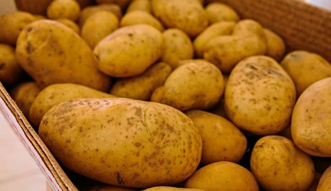 Test delle patate impossibile - Giornalepop.it (Fonte foto Canva)